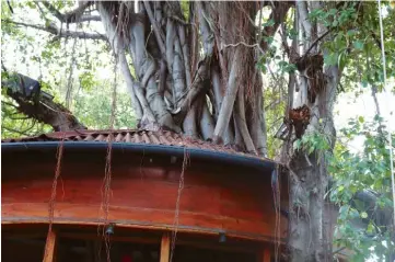  ??  ?? Les belvédères reposent sur les troncs d’arbre.