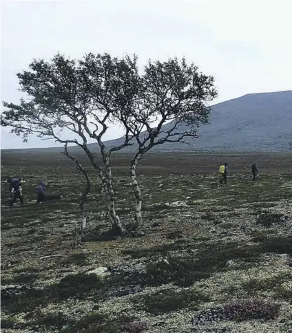  ??  ?? HALVVEIS TIL SVUKURISET: Opp fra Haugen gård nok en varm dag midt i juli naermer vi oss stiskillet ved foten av S