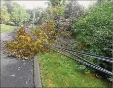  ?? Tyler Sizemore/Hearst Connecticu­t Media ?? Power lines knocked down during Tropical Storm Isaias are down on Round Hill Drive in North Stamford in August 2020.