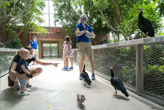  ?? Steve Mellon/Post-Gazette ?? Martha Rentler, left, shows her son, Conor, 1, some of the birds at the National Aviary.