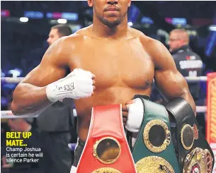  ??  ?? Champ Joshua is certain he will silence Parker BELT UP MATE..