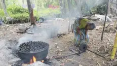  ?? — Reuters ?? Freshly collected black clams are boiled to extract the meat from the shell in Sarithodu village near Vembanad Lake in Kerala.