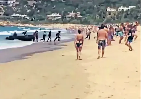  ??  ?? Migrants arrive by dinghy on a beach near Cadiz, on Spain’s Costa de la Luz, as shocked sunbathers look on