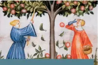  ??  ?? La Cueillette des pommes, gravure issue du Tacuinum Sanitatis, un manuel médiéval sur la santé (première version au xiiie siècle).