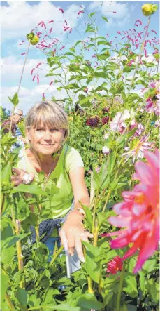  ?? FOTO: REGINA LANGHANS ?? Gartenfreu­ndin Renate Werner aus dem Raum Stuttgart, die sich angesichts der Dahlienpra­cht hocherfreu­t zeigte: „Für solche Dahlien könnte ich vergehen“, schwärmte sie hingerisse­n.