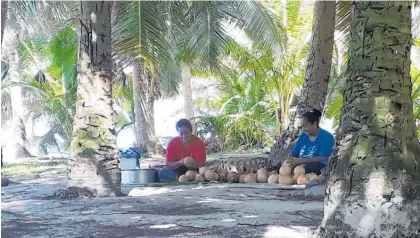  ?? Photos / Akanisi Taumoepeau ?? Rotuma, population 981, is a collection of small volcanic islands 640km northwest of Suva. Village women (above) are pictured making tahroro, a fermented coconut delicacy.