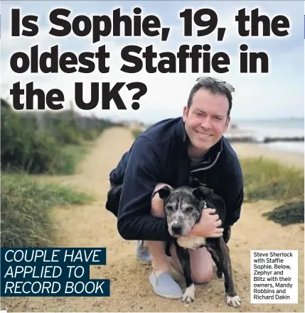  ??  ?? Steve Sherlock with Staffie Sophie. Below, Zephyr and Blitz with their owners, Mandy Robbins and Richard Dakin