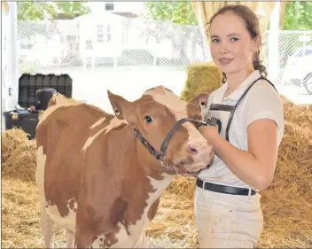  ?? TONY DAVIS/ THE GUARDIAN ?? 4-H member Hailey Quilty gets ready for her third and final showing of the day in the dairy category with her calf Redakitown Emma during 4-H Day Wednesday at Old Home Week.