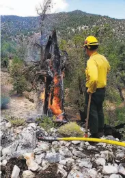  ?? Courtesy San Bernardino National Forest ?? Firefighte­rs responded to several lightning strike fires in San Bernardino County this weekend.