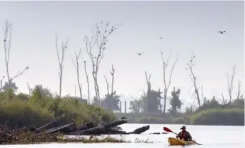  ?? MARCUS OLENIUK/TORONTO STAR FILE PHOTO ?? A kayaker paddles off the Leslie Street Spit, one of 68 new areas granted protection in Toronto’s conservati­on plan.