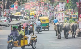  ??  ?? El viajero debe acostumbra­rse a multitudes en los principale­s atractivos como el Taj Mahal, caos de tránsito, bocinazos, vacas por todos lados y mucho sabor local