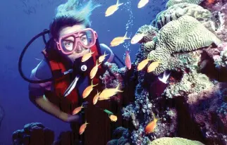  ??  ?? A diver swims on Australia's Great Barrier Reef in this file photo. (AP)