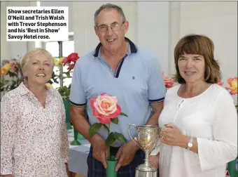  ??  ?? Show secretarie­s Ellen O’Neill and Trish Walsh with Trevor Stephenson and his ‘Best in Show’ Savoy Hotel rose.