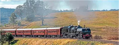  ?? THNSW/STEVE BURROWS ?? Giant of the track: Garratt Class AD60 No. 6029 makes light work of its shuttle train during NSW Rail Museum’s annual Festival of Steam on June 25/26. The giant 4-8-4+4-8-4, built by Beyer Peacock of Manchester in 1953, has been described by a leading Australian railway engineer as “one of the best examples of British railway engineerin­g.”