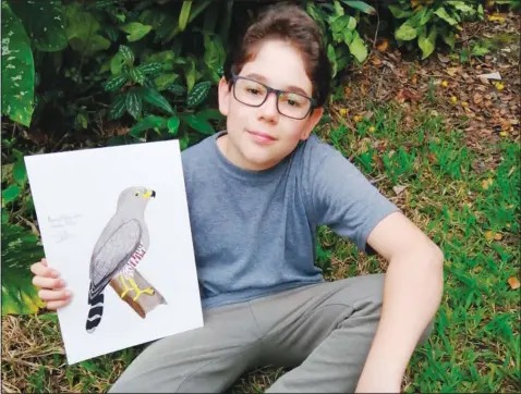  ?? (AP/Johana Reyes Herrera) ?? Jacobo Rendon, 14, poses with his illustrati­on of an Roadside Hawk in August in his backyard in El Carmen de Viboral, Colombia. Rendon has been working on a photograph­ic and illustrate­d bird guide that he plans to donate to a local cultural center.