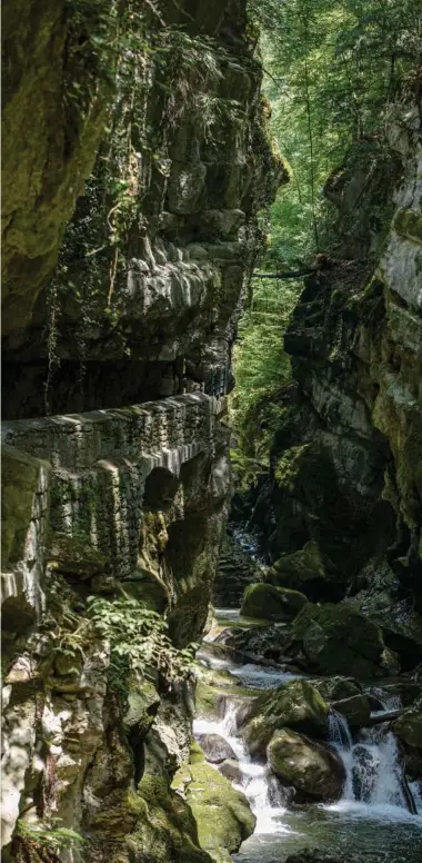  ??  ?? La Suze dans les gorges du Taubenloch, entre deux vertigineu­ses parois rocheuses.