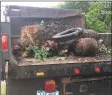  ?? City of Bridgeport ?? A city truck loaded with debris.