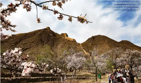  ??  ?? Second Market in Taichung is home to commercial vendors as well as food stalls
Apricot trees blossom in Tianzhen, where the Wall runs just above the hillside villages