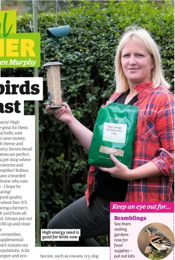  ??  ?? High energy seed is good for birds now