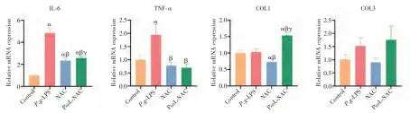  ?? ?? 6 4 2 0
IL⁃6 α
αβ
αβγ 2.5 2.0 1.5 1.0 0.5 0.0
TNF⁃α α β β 2.0 1.5 1.0 0.5 0.0
COL1
αβ
αβγ 2.5 2.0 1.5 1.0 0.5 0.0
COL3