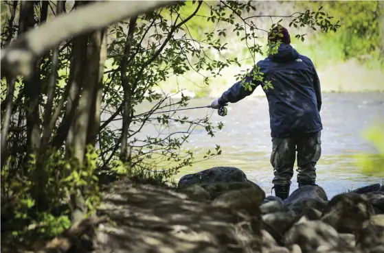  ?? FOTO: EMMI KORHONEN/LEHTIKUVA ?? Bäckarna i huvudstads­regionen påverkas av kontaminer­at och syrefattig­t dagvatten som orsakas av olika byggprojek­t. Bilden är från Vanda å där en del fiskbestån­d repat sig.
■