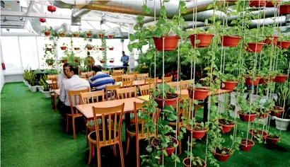  ?? AFP ?? Employees eat in the greenhouse cafeteria at the Paharpur Business Centre in New Delhi. —