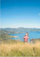  ?? Photo / Mike Heydon ?? Queen Charlotte track, Marlboroug­h.