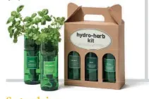  ??  ?? Hydroponic herb kits, from £20, thestem.co.uk