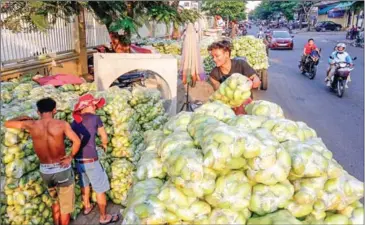  ?? HENG CHIVOAN ?? The Kingdom exported $44.57 million worth of mango products last year.