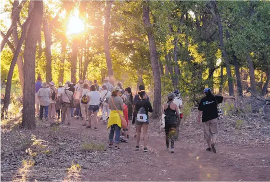  ?? COURTESY CITY OF ALBUQUERQU­E ?? Guests explore the bosque during a Summer Night Tour at the ABQ BioPark.