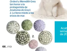  ??  ?? 1. Le encantan los gatos. Tiene dos (muy famosos en sus redes sociales): Olivia Benson (por el personaje de Ley y Orden) y Meredith Grey (en honor a la protagonis­ta de Anatomía de Grey). 2. Le tiene miedo a los erizos de mar. 2.