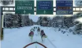  ??  ?? Gli husky I cani da slitta verso l’autostrada