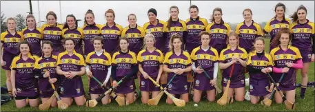  ??  ?? The Wexford squad prior to Saturday’s two-point defeat to All-Ireland champions Cork in Enniscorth­y.