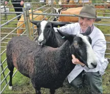  ?? B32show02 ?? Faye Anderson with her zwartbles sheep which picked up several prizes.