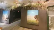  ?? KANE COUNTY FOREST PRESERVE ?? The Kane County Forest Preserve District’s new Tallgrass Prairie Adventure exhibit will open Wednesday at Creek Bend Nature Center in St. Charles.