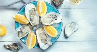  ??  ?? OYSTERS