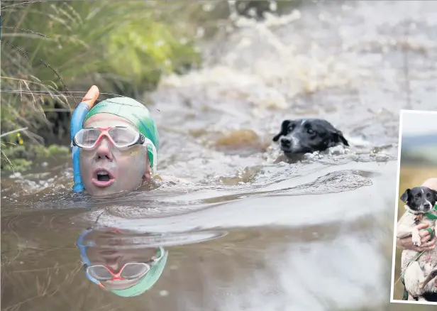  ??  ?? Angela Johnson and her dog Jack take part in the 32nd World Bog Snorkellin­g Championsh­ips at Waen Rhydd peat bog in Llanwrtyd Wells, Wales.