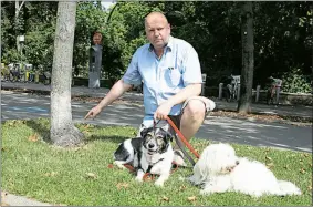  ??  ?? Vor dem „Giftbaum“. Ronni Nadler mit Border-Collie-Mix Sammy und Malteser-Mix Charly