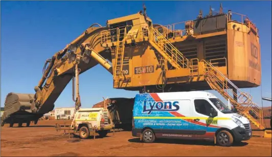  ??  ?? Lyons are inducted and preferred on mine sites.