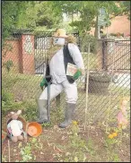  ??  ?? Out standing in its field -a previous year’s entry to the Market Bosworth Scarecrow Trail. Picture by Mitch Irving