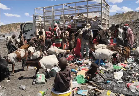  ?? Photo: Contribute­d ?? Extreme hunger…Vulnerable people scavenging at a rubbish dump is slowly becoming a common sight in Namibia.