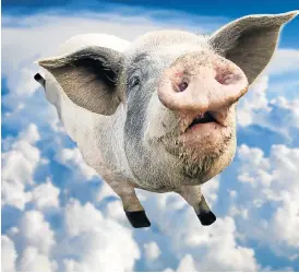  ?? /Tyler Olson ?? Wishful thinking: After six years of bail-outs, trusting the government to effect a successful turnaround strategy at SAA is like wishing pigs will fly.