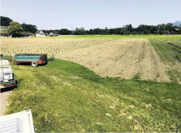  ?? KAPO SG ?? Ein rund eine Hektare grosses Feld mit Hanfpflanz­en wurde in Benken SG zerstört.