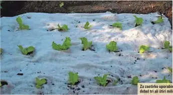  ?? FOTO: SOVEN ?? Za zastirko uporabimo filc, ki naj bo debel tri ali štiri milimetre.