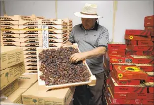  ?? Irfan Khan Los Angeles Times ?? AHMAD FEJLEH, owner of the Westmorlan­d Date Shake store, holds a tray of medjool dates. “Forty-five years ago, when I came to this country, people didn’t know what date is,” he says.