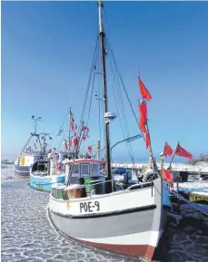  ?? FOTO: DPA ?? Auch im Winter fahren die Fischkutte­r raus zu Angeltoure­n.