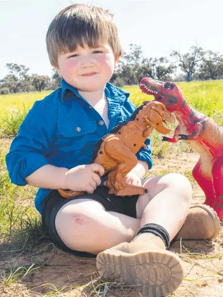  ??  ?? Memphis Francis, 3, is stuck in NSW at his grandparen­ts’ property near Griffith. Picture: Ginette Guidolin