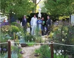  ?? ?? The judges (including Juliet, centre) view one of the gardens