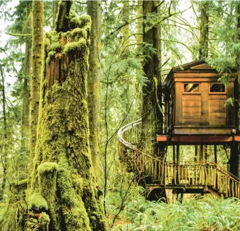  ?? CHRISTOPHE­R REYNOLDS/LOS ANGELES TIMES PHOTOS ?? The treehouse Bonbibi, above, is part of Treehouse Point, a lush collection of seven rentable treehouses near Washington state’s Raging River, about 30 minutes east of Seattle.