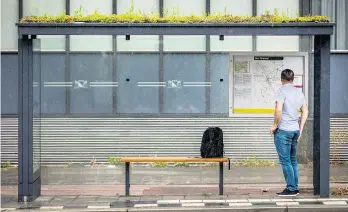 ??  ?? Wien kühlt die Stadt mit Sprühnebel, Pflanzen und Rollrasen. Das bekämpft Symptome, keine Ursachen. In Utrecht hingegen brummt und summt es auf den bepflanzte­n Dächern von Bushaltest­ellen – ein Beispiel für nachhaltig­e Stadtplanu­ng.